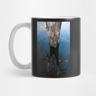 Sometimes you see more of it in your reflection. Mug